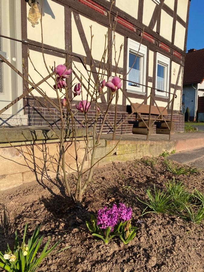 Pferdefairstand'S Ferienwohnung Haunetal Luaran gambar